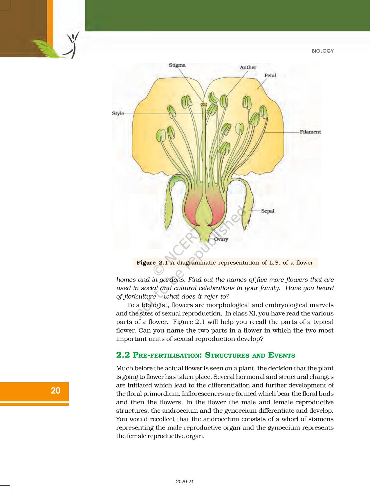 Sexual Reproduction In Flowering Plants Ncert Book Of Class 12 Biology